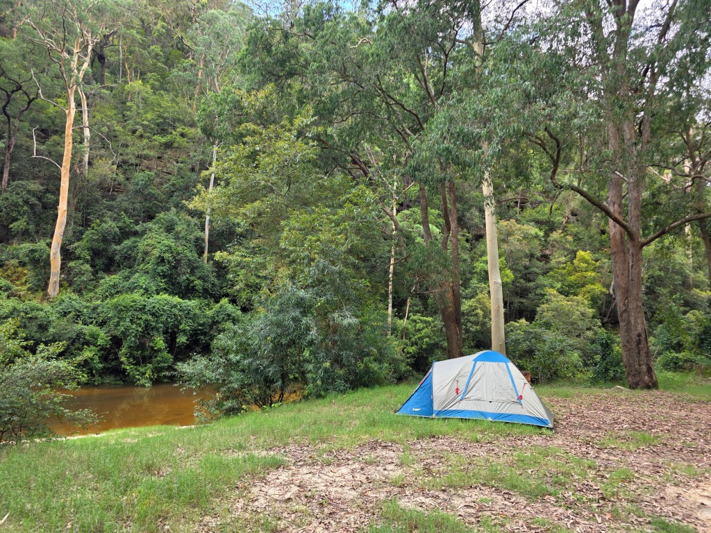 Day 16 – Down in the valley where nobody&nbsp;goes.