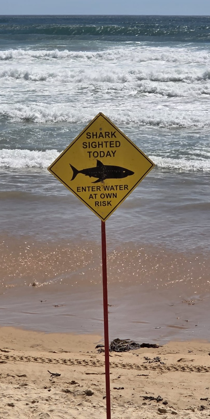 Day 6 – Dice with&nbsp;Death