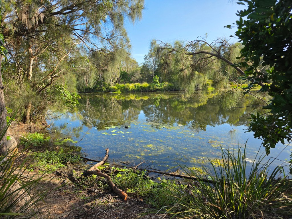 Day 28 – The Garden of&nbsp;Eden