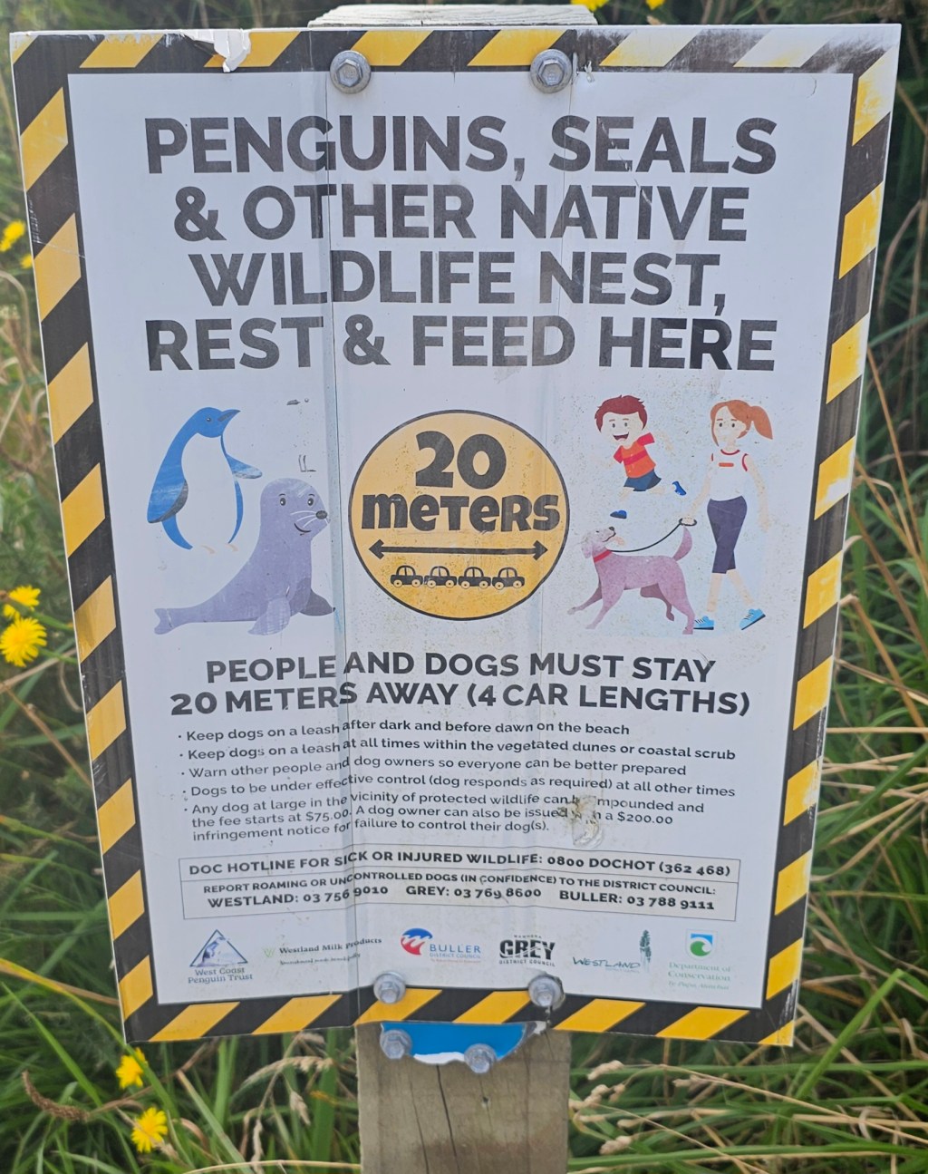 Day 37 – Eggs, Pancakes and&nbsp;Penguins